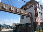 해리장 (4, 9일)