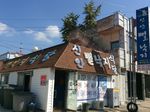 신안뻘낙지