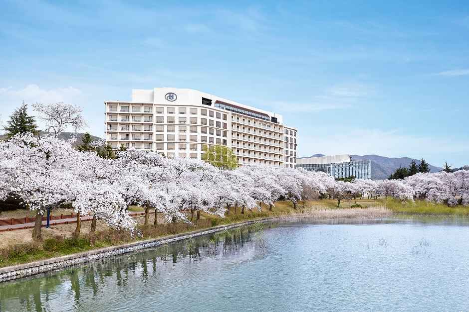 힐튼 경주