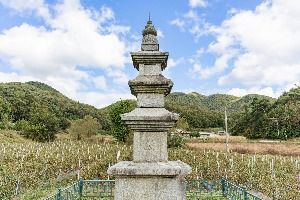 괴산 삼방리 삼층석탑
