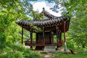 오괴정