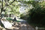고산