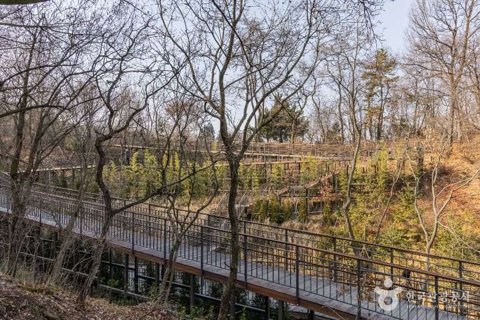 대모산도시자연공원