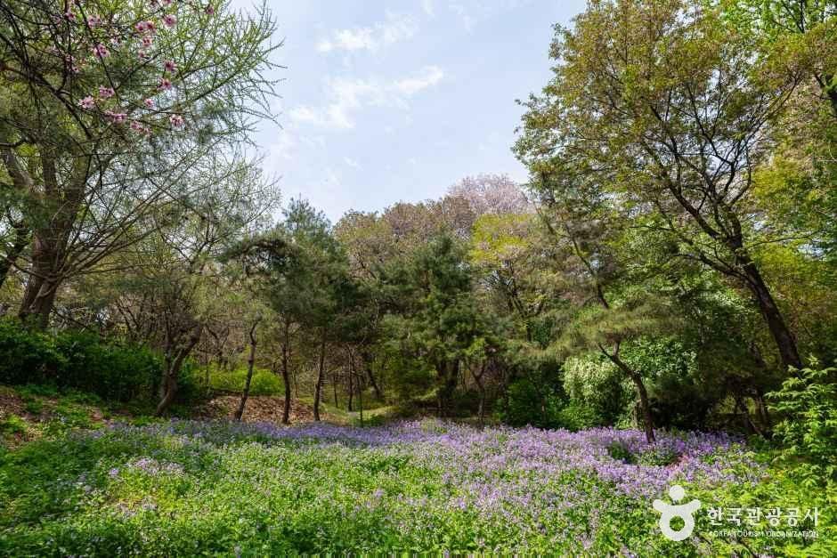 Jardin botanique de Namsan