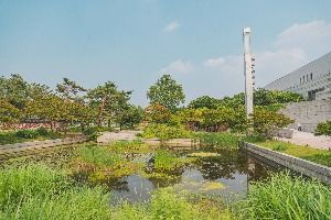 국립중앙박물관 전통염료식물원