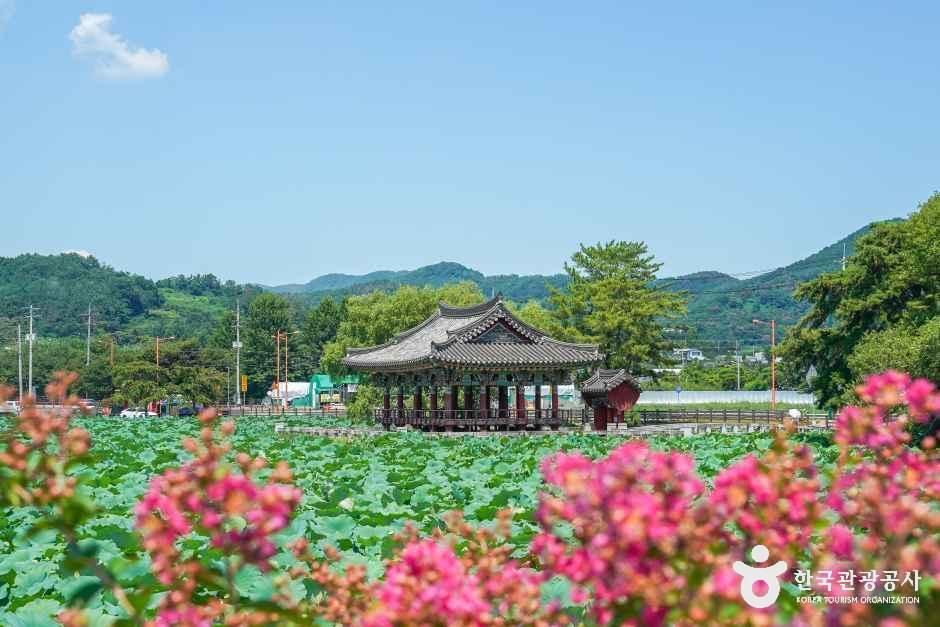 유등연지
