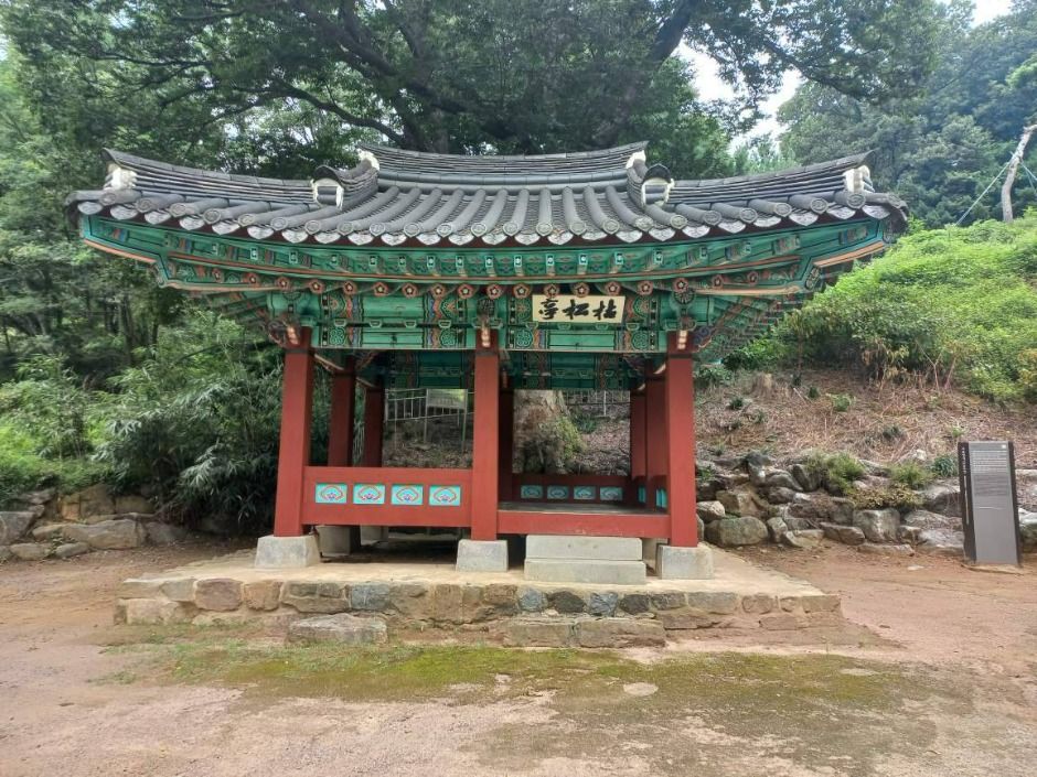 고송정지