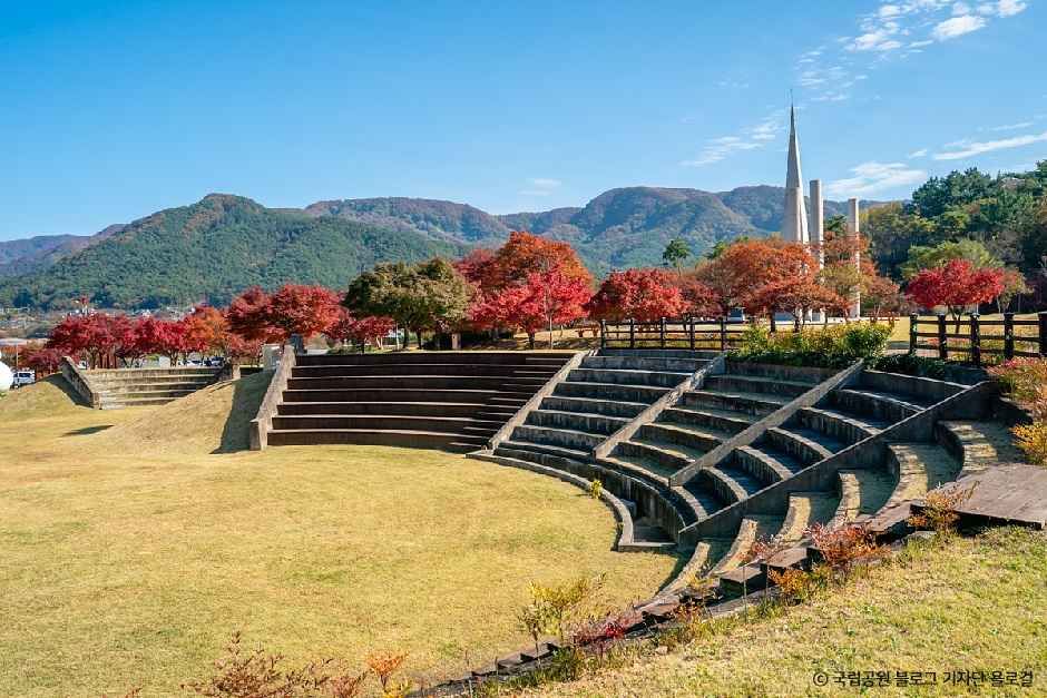 내장산조각공원