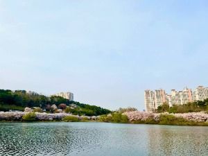 선암호수공원