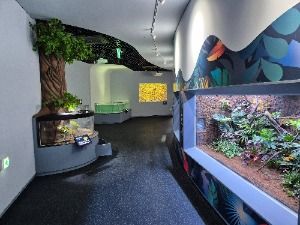 丹陽タヌリアクアリウム