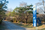 수풀로 삼회리