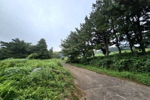 걸서악(걸세오름)