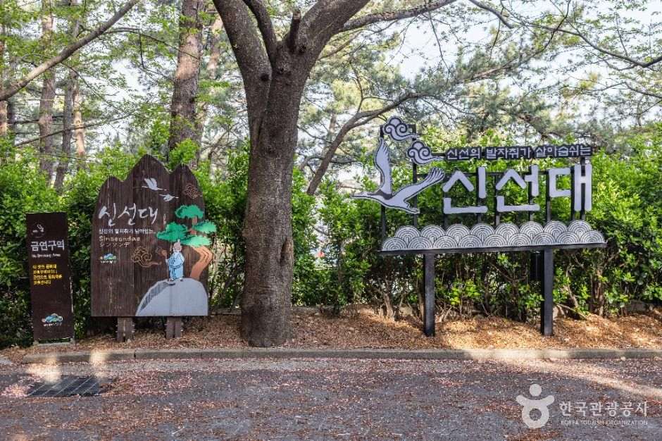 신선대(부산)