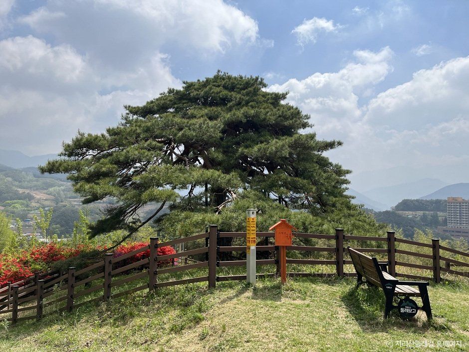 [지리산둘레길] 인월-금계
