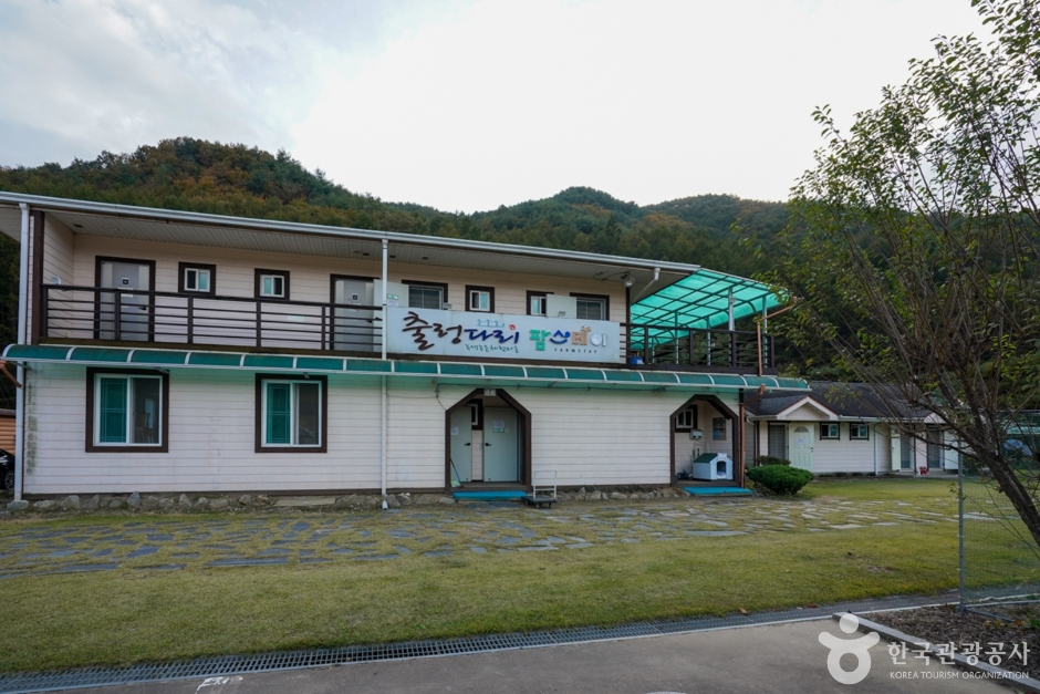 예천 출렁다리마을