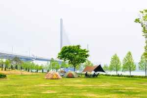 구리한강시민공원(코스모스공원)
