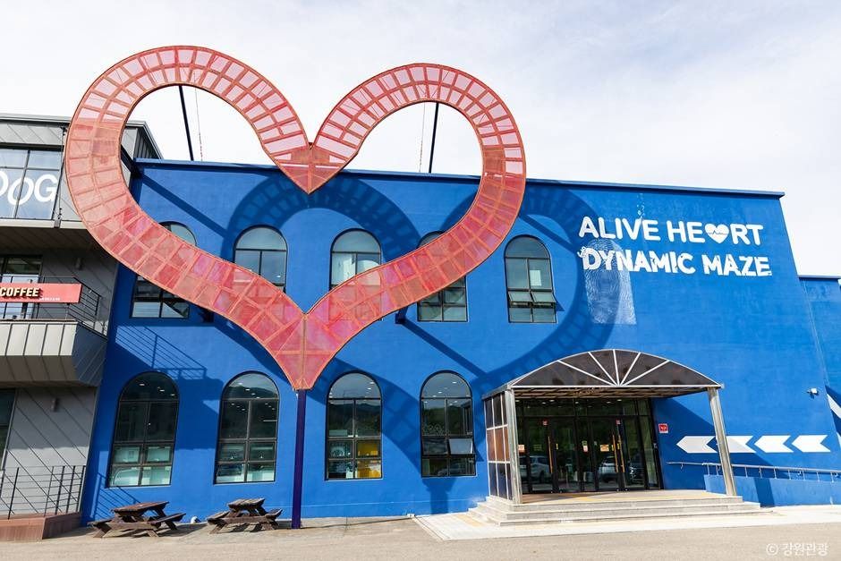 속초 얼라이브 하트(Alive Heart)