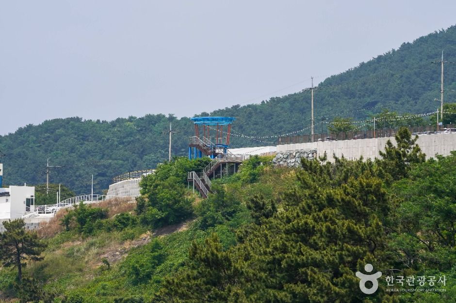 노을이 물드는 언덕