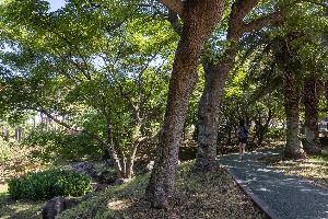 신산공원