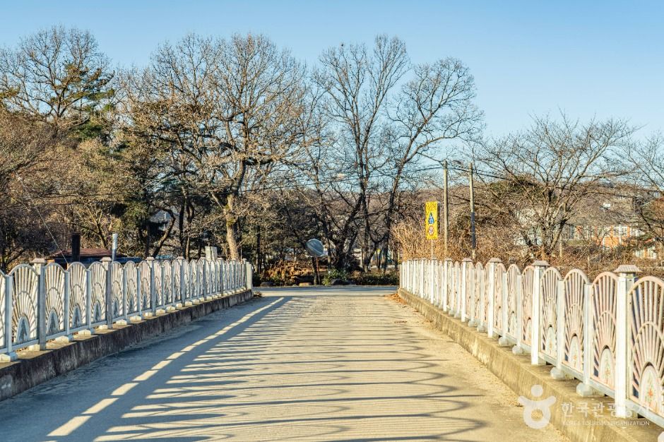 [속리산둘레길] 보은길