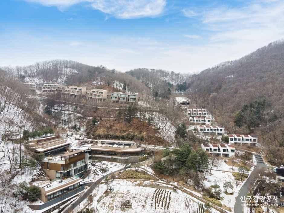 힐리언스 선마을
