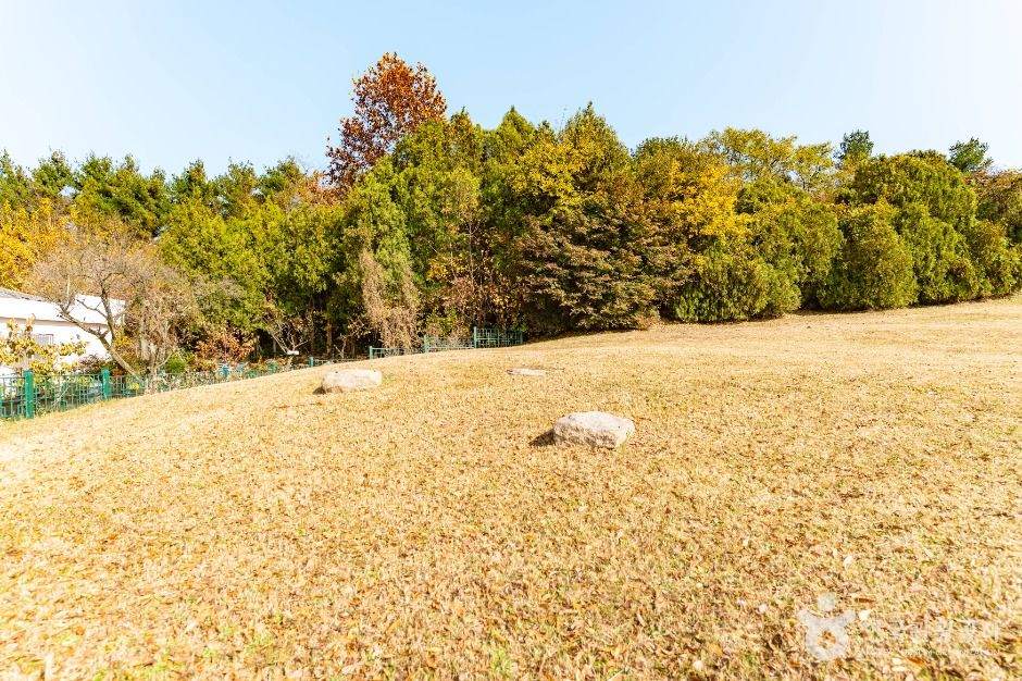 경주 동방동 와요지