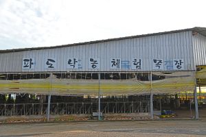 파도목장
