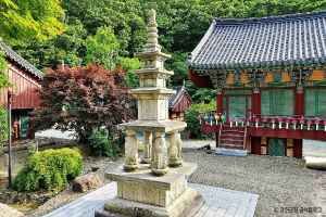정수사(강진)
