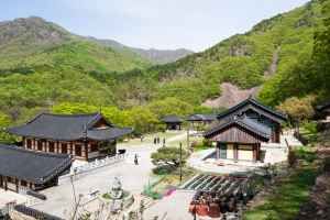 반야사(영동)
