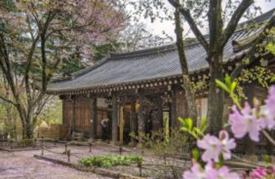 호텔정관루별관(콘도별장)