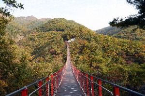 紺岳山吊橋