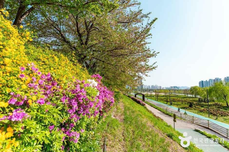 구로올레길