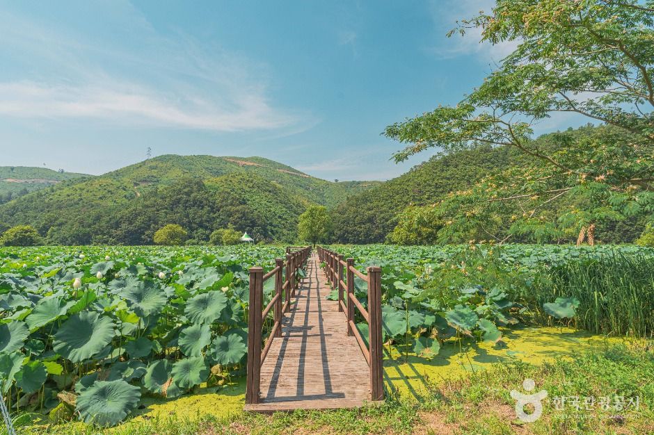 회야댐 생태습지