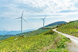 매봉산 바람의 언덕