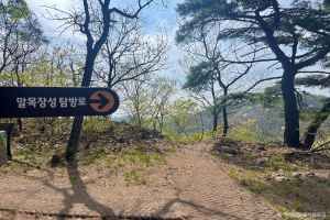 구룡포 말목장성탐방로