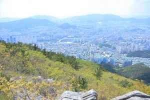 장산 (부산 국가지질공원)