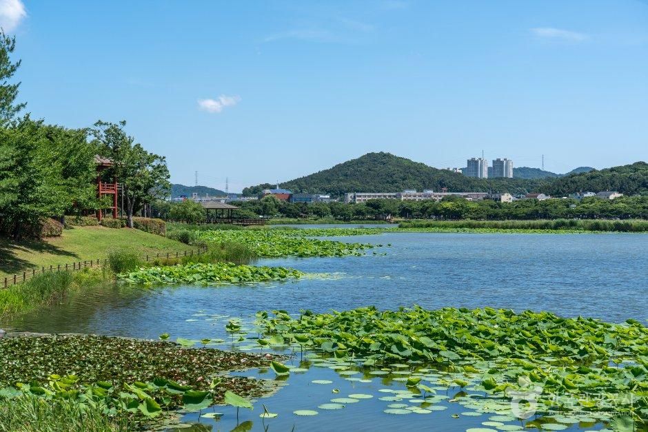 화랑유원지