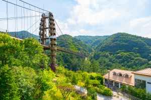 증평 좌구산 명상구름다리