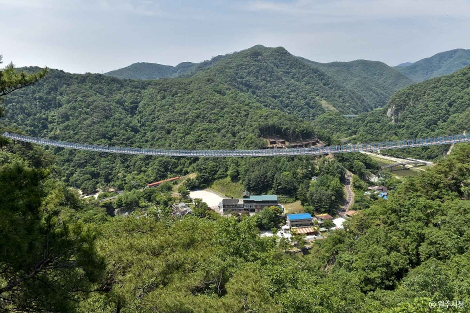 소금산 스카이워크 브릿지(소금산 출렁다리)
