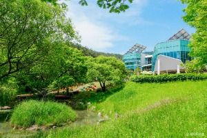 통영RCE세자트라숲