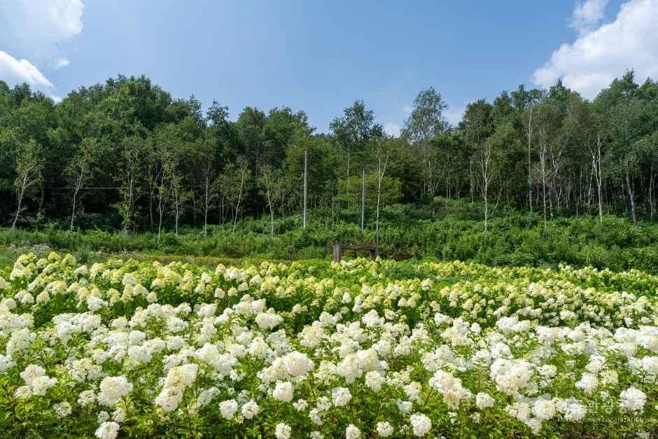 뜬봉샘생태공원