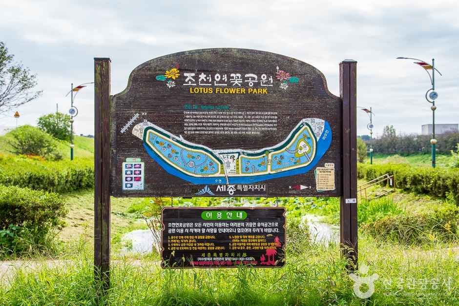 조천연꽃공원