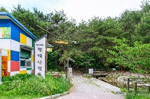 북구 편백산림욕장