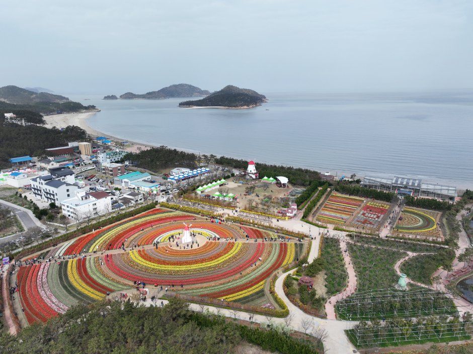 신안튤립공원