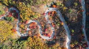 단양 보발재