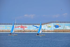 수산항 낚시터