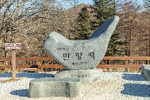 만항재