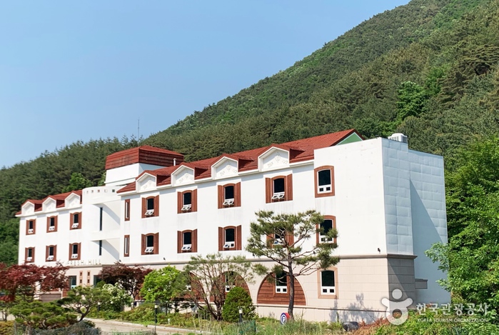 프레쉬 힐