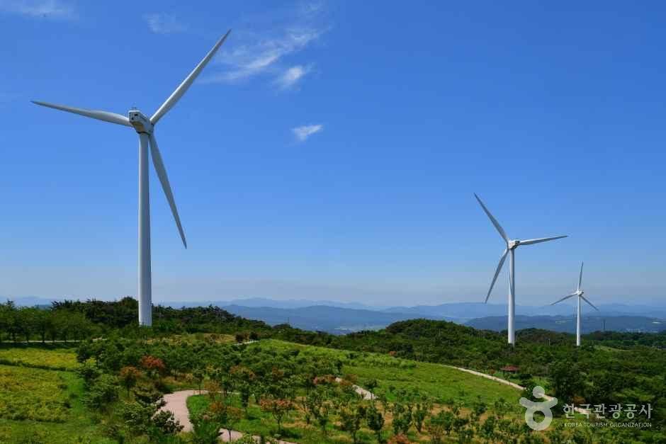 경주 풍력발전(바람의언덕)