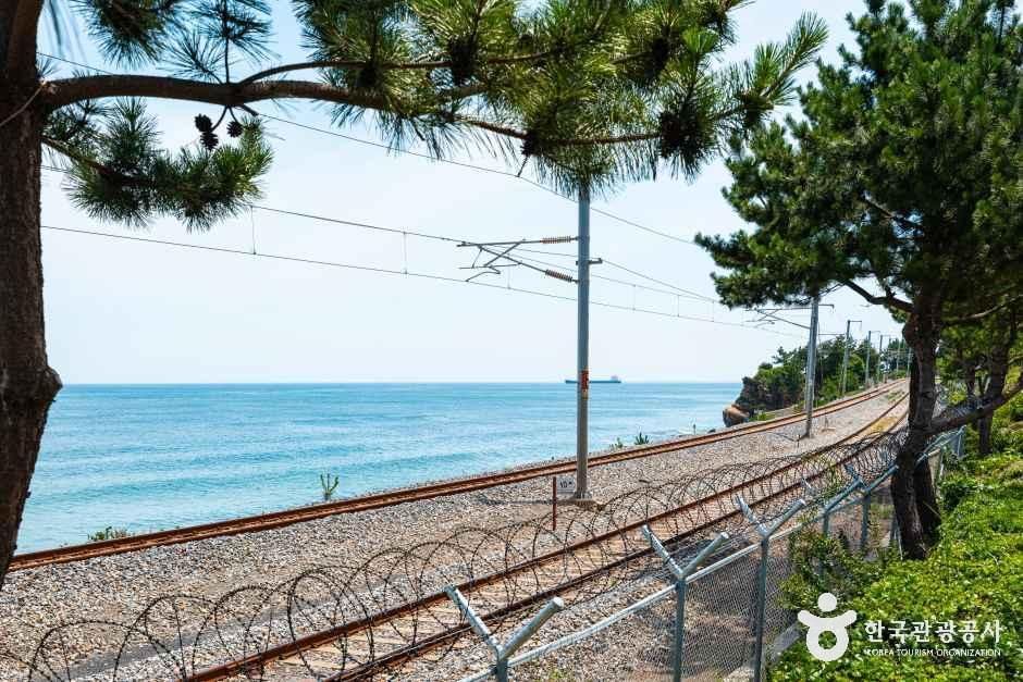하평해변(동해)